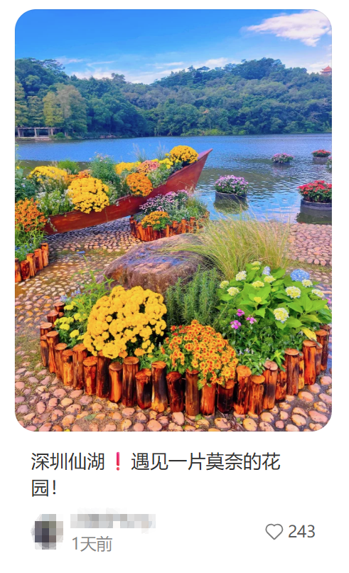 就在明天！深圳又一花展来了