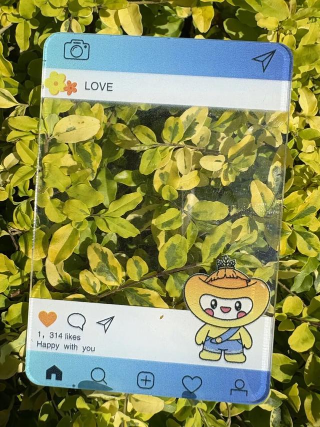 举张透卡逛罗泾！解锁宝山秋日新玩法，一起拍爆朋友圈~