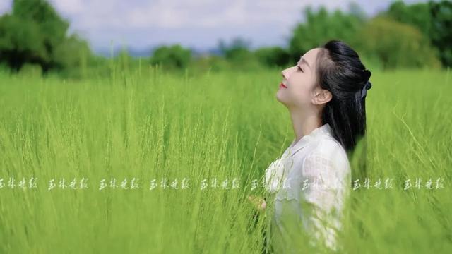快来打卡！玉林这里藏着一片“绿野仙踪”
