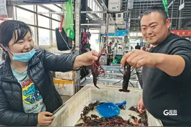 “小龙虾自由”来了！南方小龙虾大量进入青岛，批发价格8元起步图片