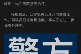 特斯拉“刹车失灵”为何频发？图片