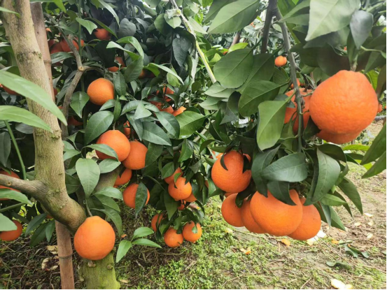 永川“留娃”去处上新→