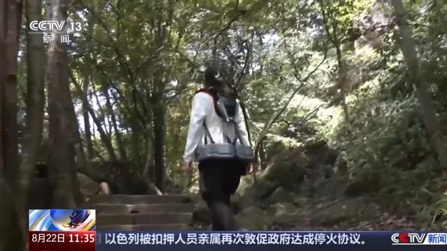 白鹇、金斑喙凤蝶、藏酋猴……看！神奇动物在武夷山