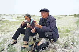 “沙海愚公”种下80万棵白杨——付志周夫妇在沙漠“树”起34公里绿色长廊图片