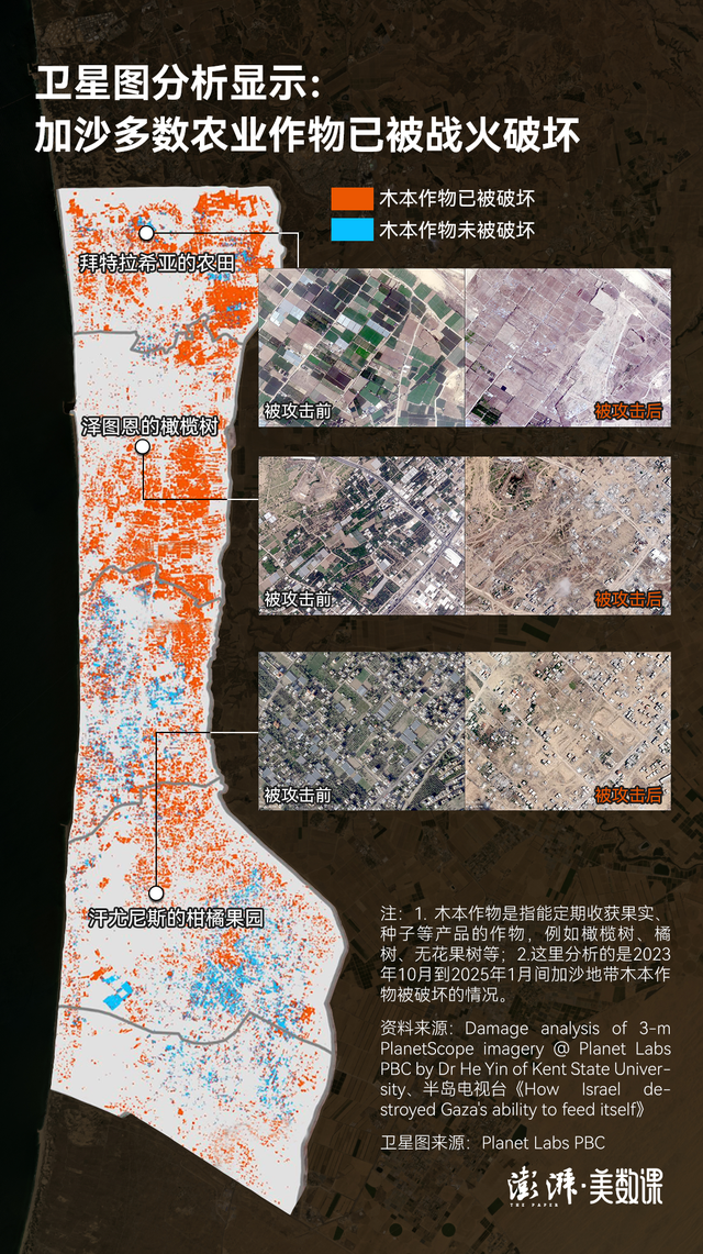 5张卫星图看加沙：2年战火改变了什么