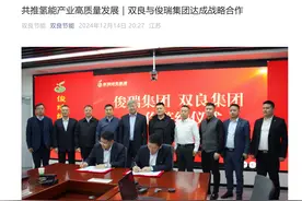 双良集团与俊瑞集团战略合作 探索氢能产业发展新路径图片