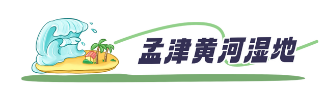 季节限定！洛阳些“海”人少景美，快出发！