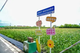 首茬上市！这款闻着像牛奶的玉米每根为什么能卖10元？图片