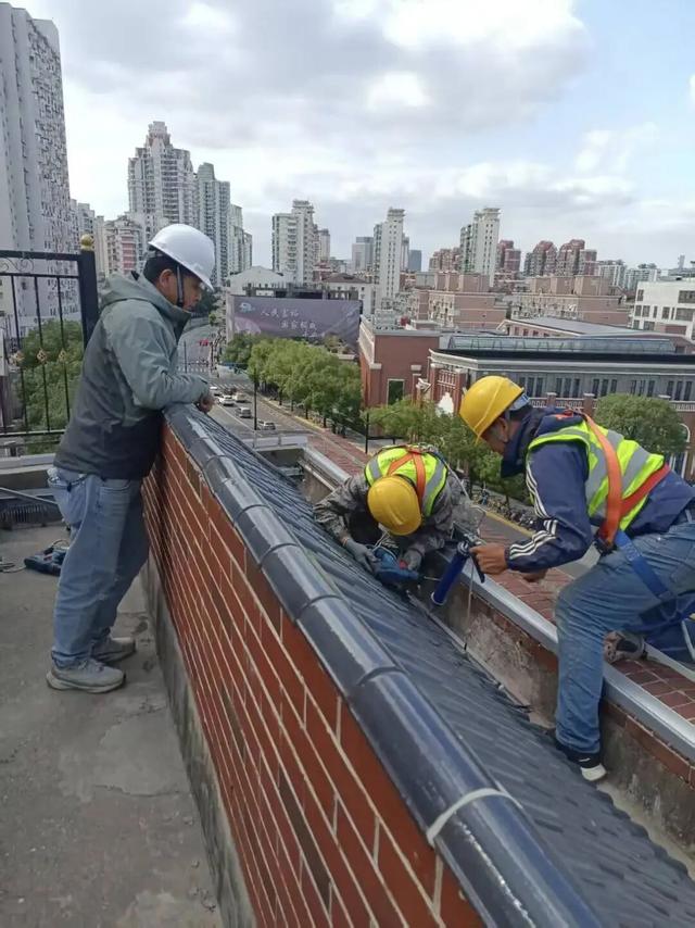 夜景上新！长宁这些地方亮灯啦→