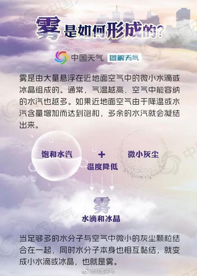 明晨有雾？最新天气预报看这里！