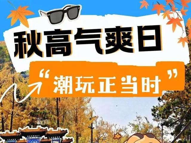 北京号最精彩 | 吃遍全球美味碳水！京城这个美食盛宴等您打卡