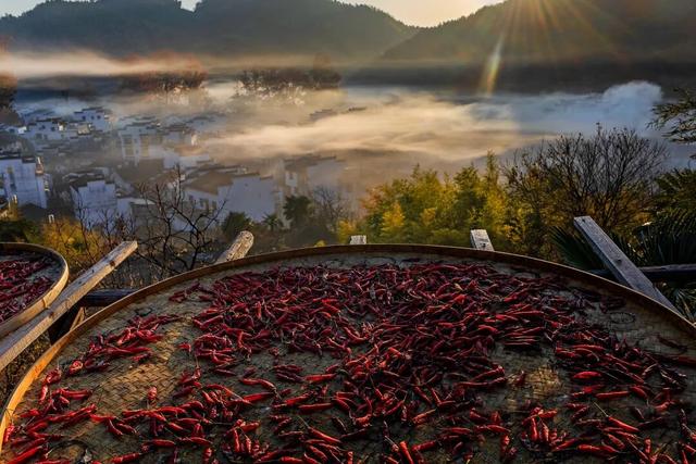 追逐秋色三千里：从北疆到徽州