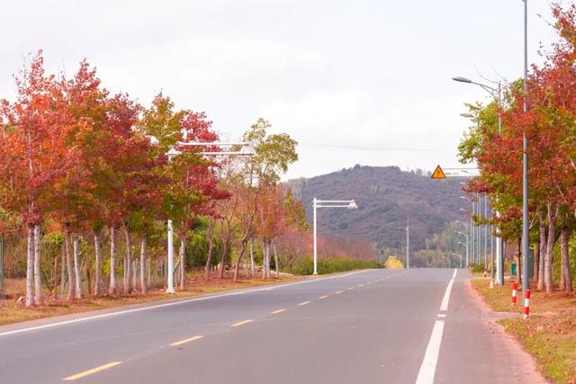 宜兴，一路斑斓！