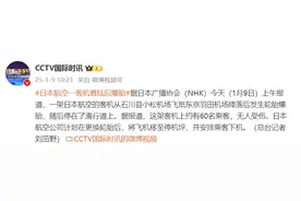 日媒：一架日本航空客机飞抵东京羽田机场降落后发生轮胎爆胎，无人受伤图片