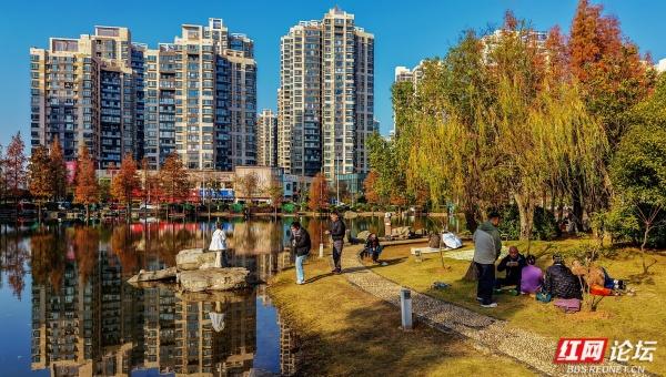 【每日一图@湖南】漫步粟雨湖畔，拾取水杉与冬光合写的暖意篇章
