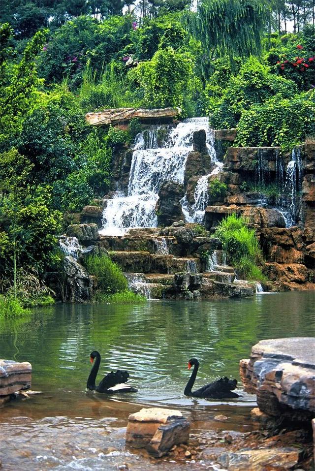 旅居红河 宝藏小城 | 在弥勒湖泉解锁慢生活
