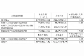 ST鹏博士：2023年上半年净利润9464.78万元 同比增长41.89%图片