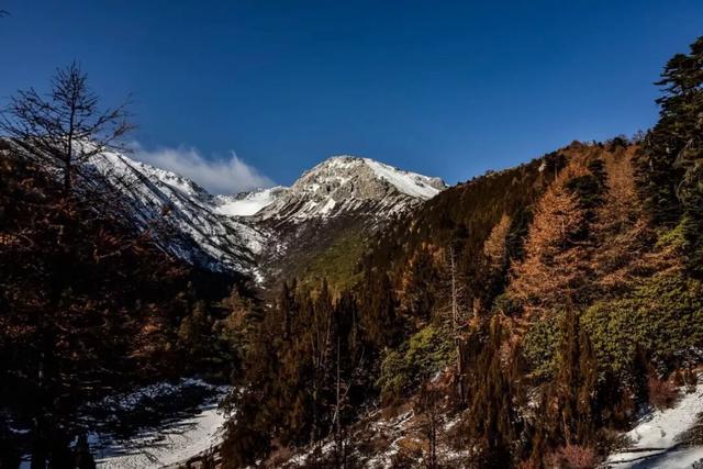 它都这么美了！差点忘记推给你了