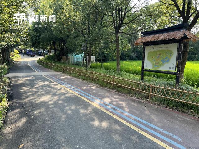 遇见小古城丨大樟树下“议”出农文旅融合新范式