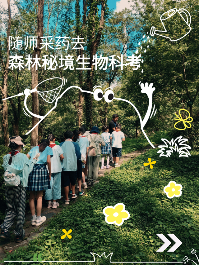 呀！南京的秋天掉地上啦