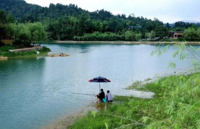 梵净山：绿水青山间藏清凉，成为游客的“诗和远方”