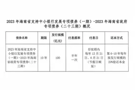 100亿元中小银行专项债“驰援” 海南农商银行脚步渐行渐近图片
