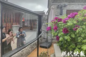 国色天香！盐城古镇600多岁牡丹绽放图片