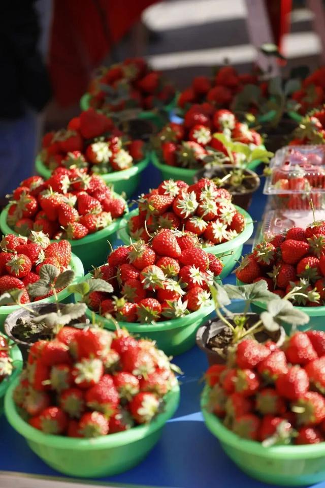 雪景美图来了！京郊赏雪宝藏线路，解锁冬日限时浪漫