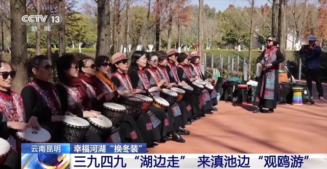 有一种生活叫云南 冬日滇池邀你来一场“观鸥游”