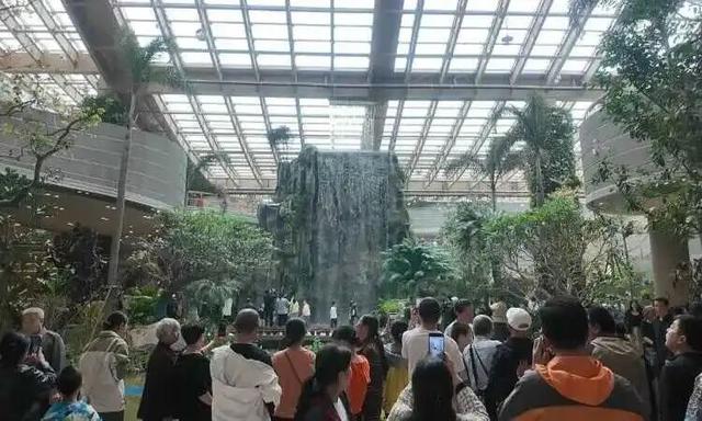 8天23场活动，接待20万人次！鹊山生态文化区成济南文旅“黑马”
