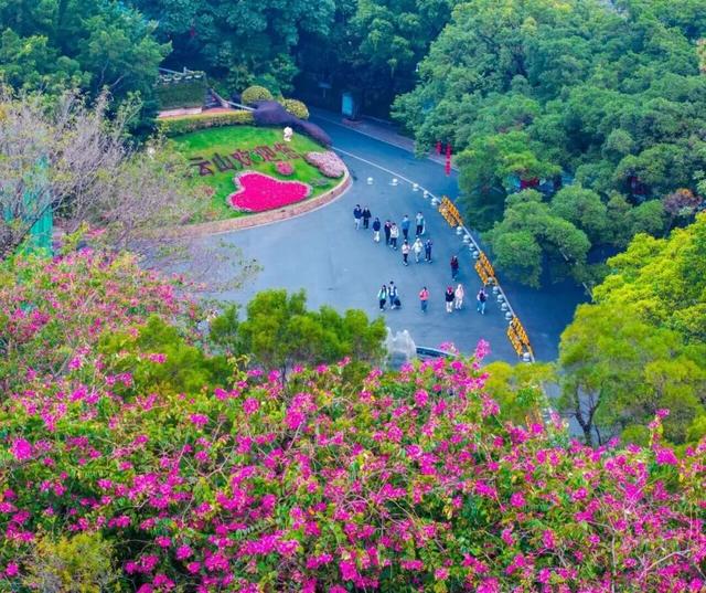 明天过节！广州多个景区发布公告