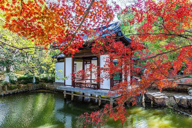 跟着浙BA游湖州，漫步江南，感受千年文脉与烟火