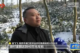 野猪频频下山闯祸，南京多区为野猪伤害购买保险图片