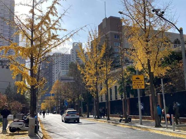 局门路落叶余额不足！市民寒风中打卡满地落叶美景，街头烟火美食也别错过