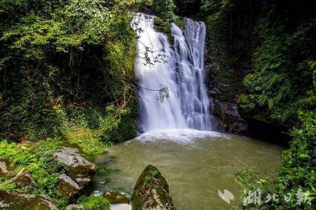 巴东金果坪：饮水水源地绘就生态画卷