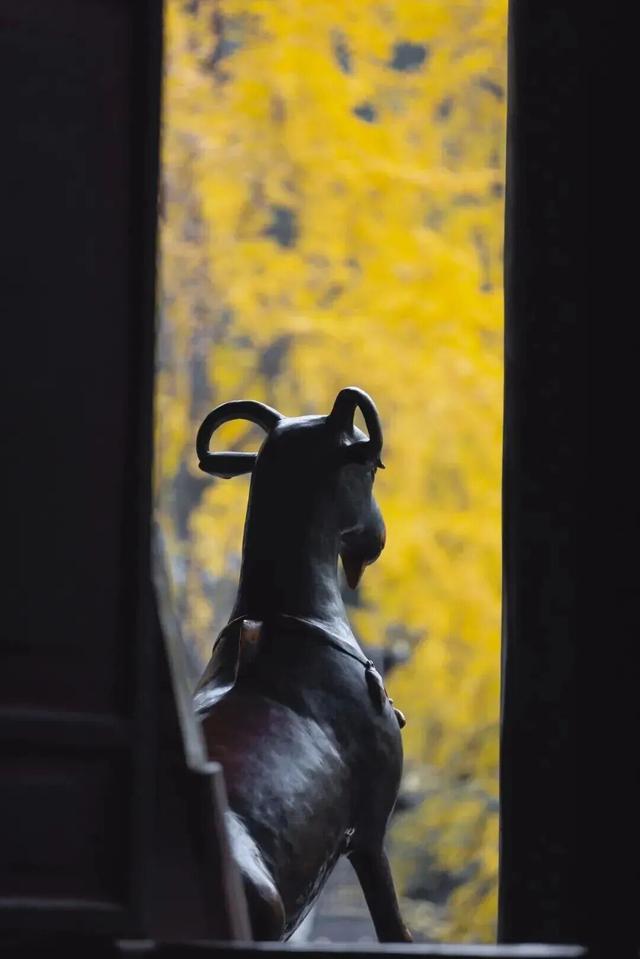 出发！来四川淘“金”