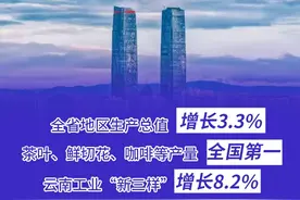 【数读中国】六组数据看云南的2024和2025图片
