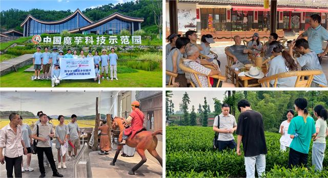 校地协同绘新篇：数字文创助力沐川文旅破圈 三下乡团队交出亮眼答卷