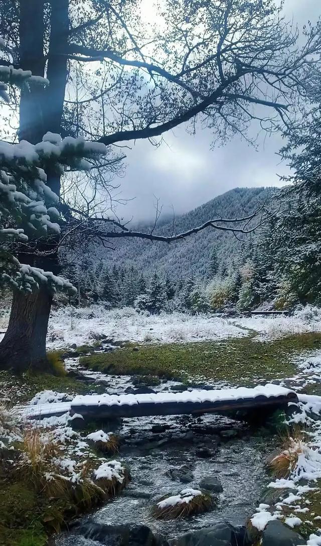 今日多地下雪！冰雪世界的川西正式上线