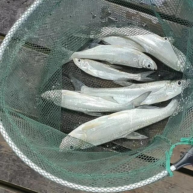 廊下生态园八项免费福利，助力双节畅游