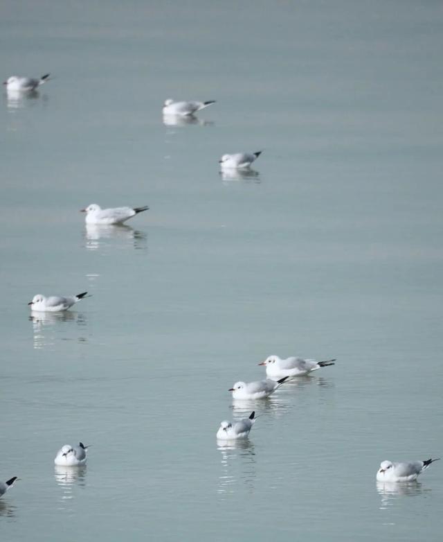 限时上线！合肥这里又藏不住了