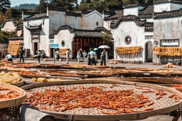 11月最应该去哪里旅行？