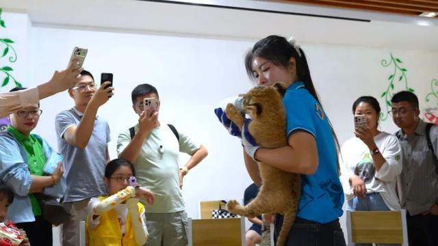 来六合，过个惬意的夏天！