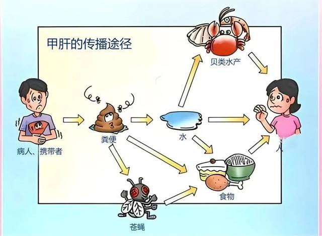 "死亡率85%"!著名主持人自曝患病经历：已下病危通知！上海曾有30万人中招