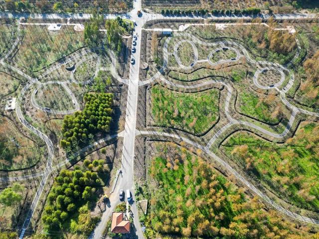 距离乐高乐园1.5公里，藏着一片…