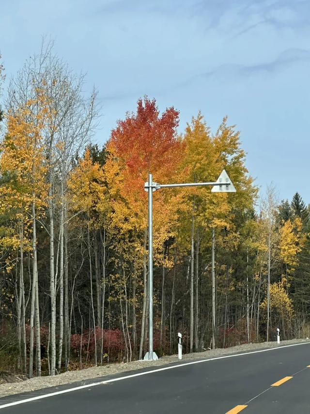 假期闲记（三）