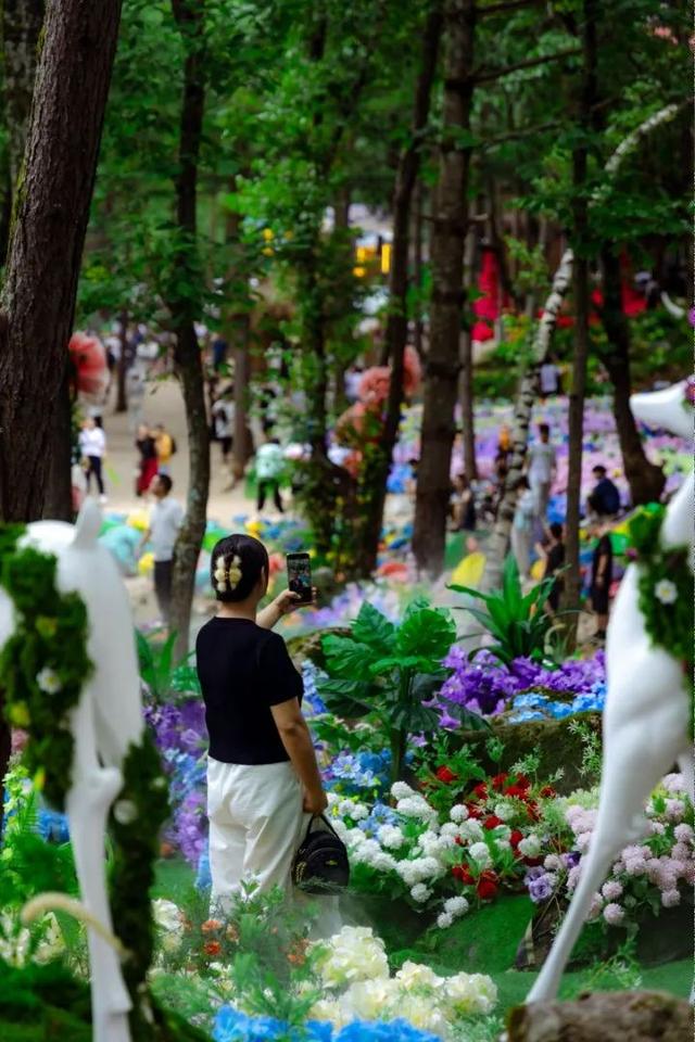 暑假余额告急！学生免门票游白云山，解锁夏日清凉狂欢模式～