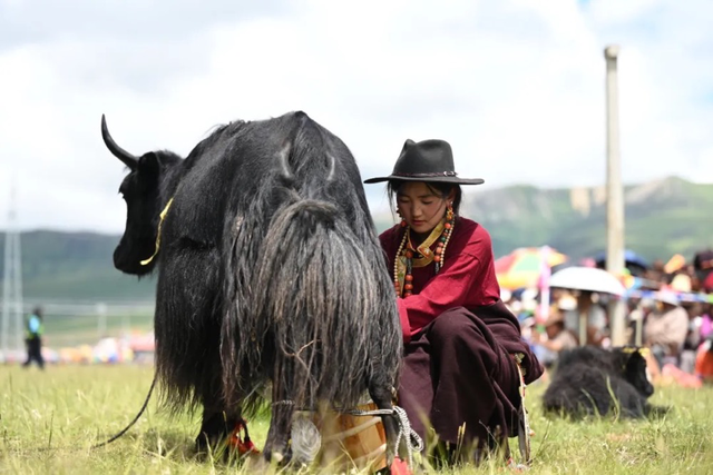 沉浸草原风情 体验非遗魅力 白玉“草原最牛”文旅季活动将于7月27日开启