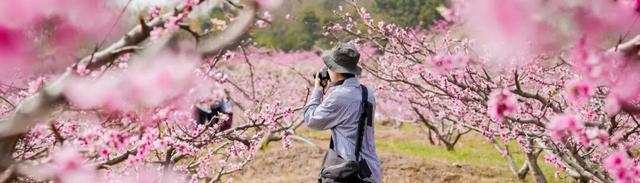 定了！彭州“村糖会”系列活动重磅来袭！跨年、新春、探春……承包你一年的甜蜜