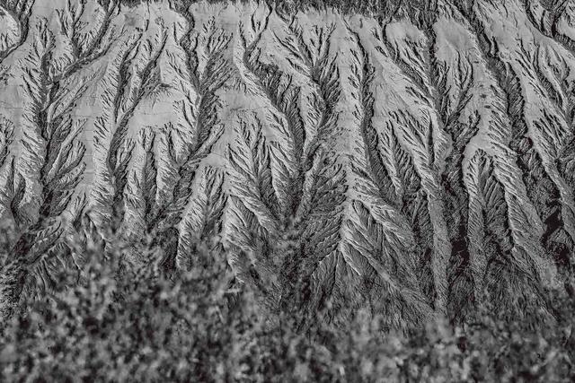 西海固：汗土上的新生